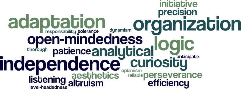 Social skills: adaptation, independence, organization, logic, open-mindedness, curiosity, analytical, perseverance, patience, initiative, listening, precision, aesthetics, efficiency, altruism, responsability, level-headedness, tolerance, reliable, thorough, optimism, dynamism, anticipate